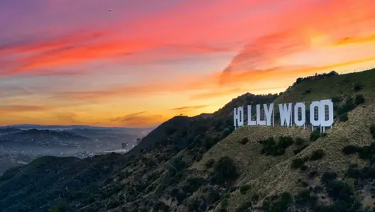 Moving Company Hollywood Movers