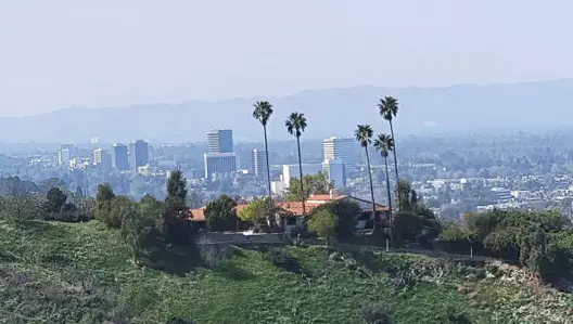 Moving Company Sherman Oaks Movers