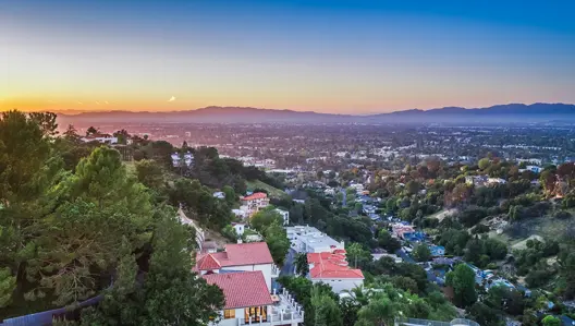 Moving Company Studio City Movers