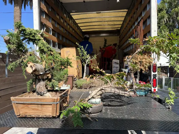 LA Local Moving company near me